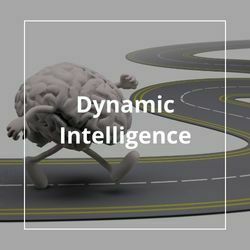 Dynamic Intelligence